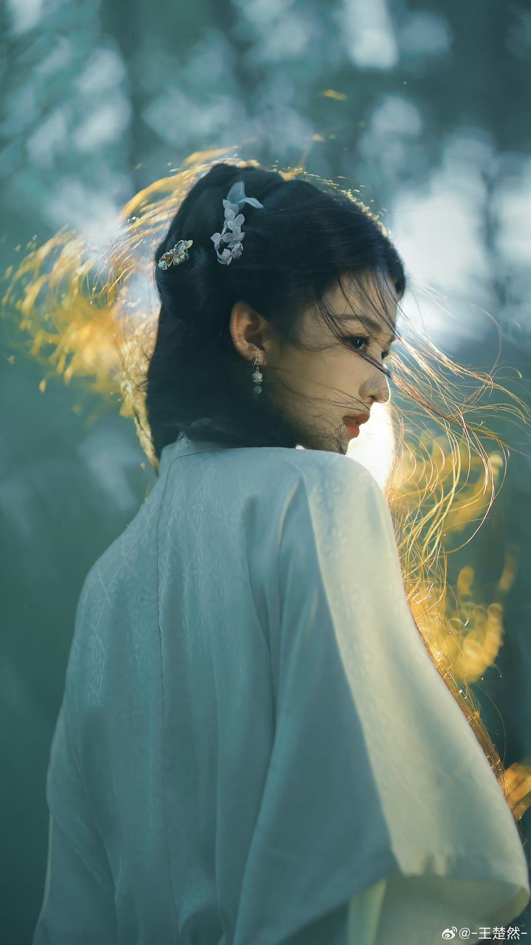 NHẤT MỘNG TAM NIÊN