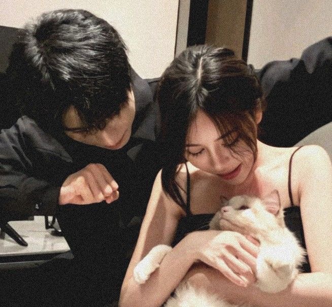 Vừa được ăn thịt, vừa có tiền