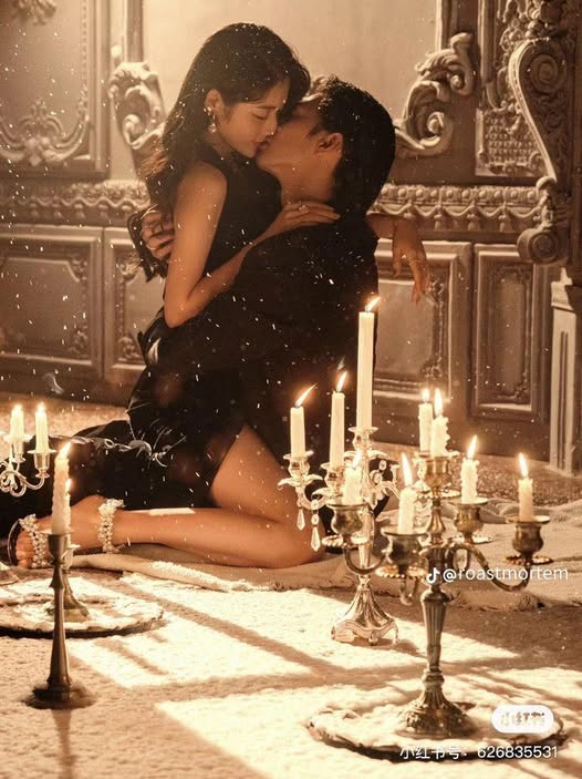 Hoa Hồng Nở Giữa Mùa Hè