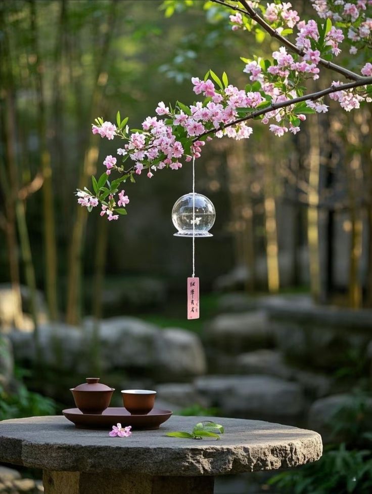 Phu quân ta là một hoàng đế nhu nhược.