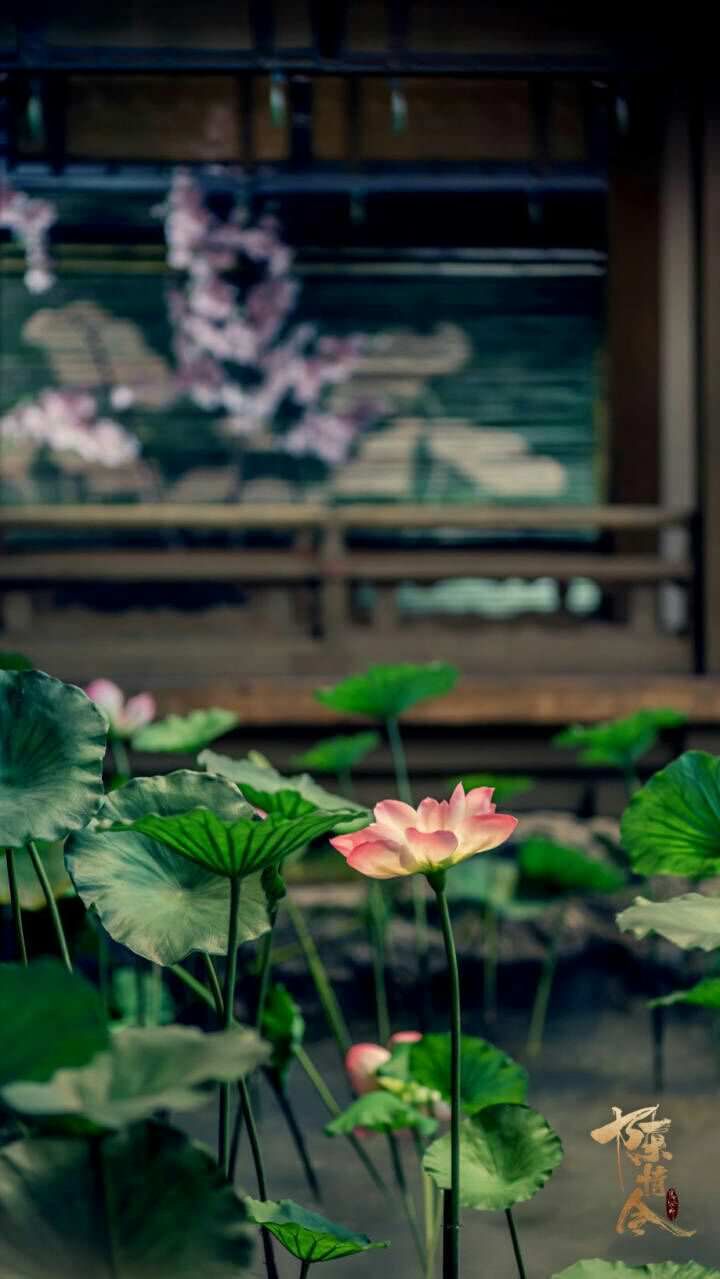 Hành trình chuyển mình của nam phụ phản diện