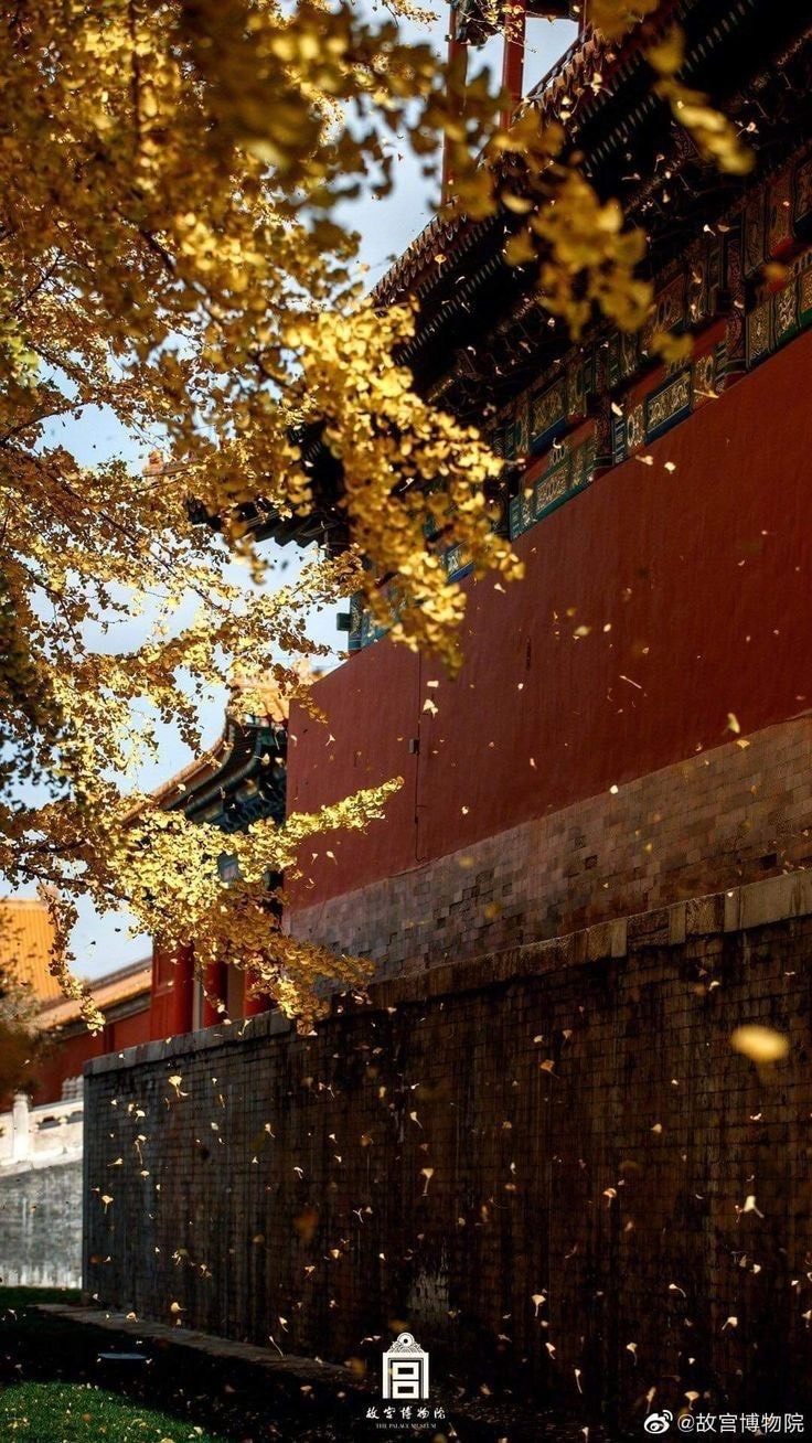 THÁI TỬ YÊU CÔ GÁI ĐÃ TỪNG CỨU HẮN